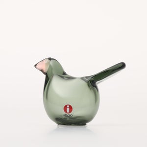 Birds Sieppo パイングリーン×サーモンピンク 0208