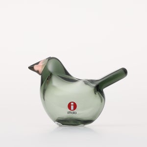 Birds Sieppo パイングリーン×サーモンピンク 0210