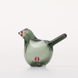 Birds Sieppo パイングリーン×サーモンピンク 0211