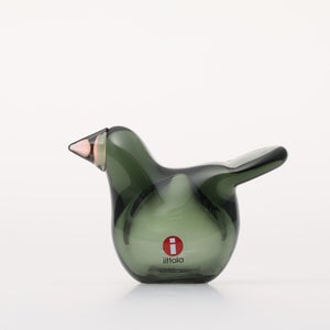 Birds Sieppo パイングリーン×サーモンピンク 0215