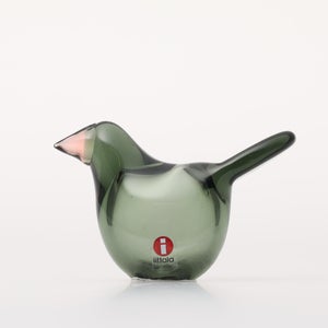 Birds Sieppo パイングリーン×サーモンピンク 0216