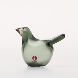 Birds Sieppo パイングリーン×サーモンピンク 0217