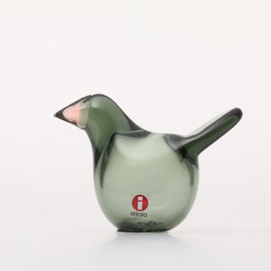 Birds Sieppo パイングリーン×サーモンピンク 0218