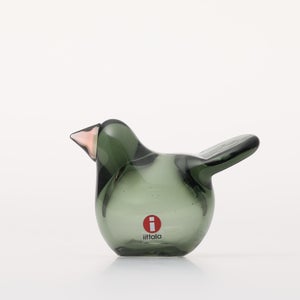 Birds Sieppo パイングリーン×サーモンピンク 0221