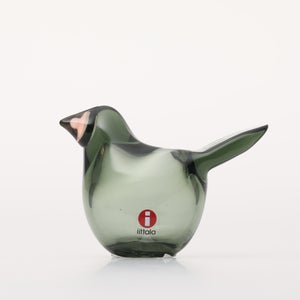 Birds Sieppo パイングリーン×サーモンピンク 0222