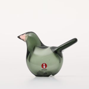 Birds Sieppo パイングリーン×サーモンピンク 0224