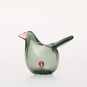 Birds Sieppo パイングリーン×サーモンピンク 0225