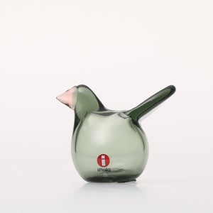 Birds Sieppo パイングリーン×サーモンピンク 0228