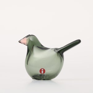 Birds Sieppo パイングリーン×サーモンピンク 0229