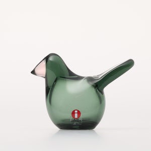 Birds Sieppo パイングリーン×サーモンピンク 0232