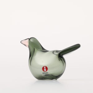 Birds Sieppo パイングリーン×サーモンピンク 0233