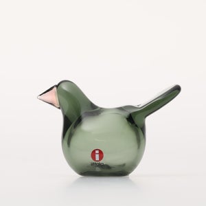 Birds Sieppo パイングリーン×サーモンピンク 0238