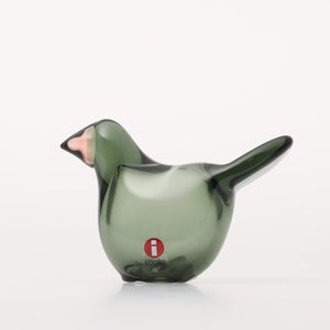 Birds Sieppo パイングリーン×サーモンピンク 0239