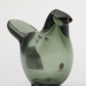 Birds Sieppo パイングリーン×サーモンピンク 0173