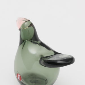 Birds Sieppo パイングリーン×サーモンピンク 0206