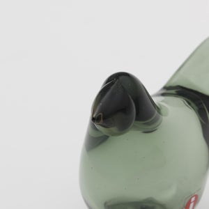 Birds Sieppo パイングリーン×サーモンピンク 0222