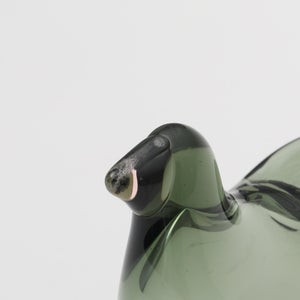 Birds Sieppo パイングリーン×サーモンピンク 0234