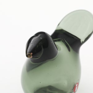 Birds Sieppo パイングリーン×サーモンピンク 0162