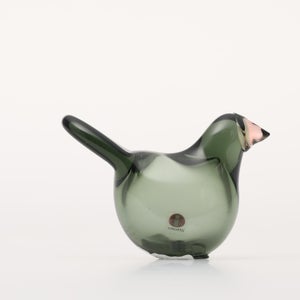 Birds Sieppo パイングリーン×サーモンピンク 0163