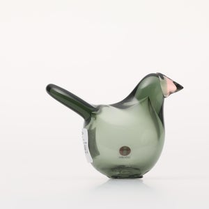 Birds Sieppo パイングリーン×サーモンピンク 0165