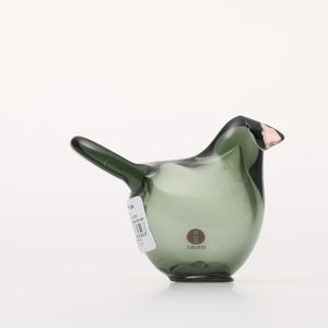 Birds Sieppo パイングリーン×サーモンピンク 0173