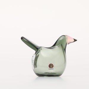 Birds Sieppo パイングリーン×サーモンピンク 0175