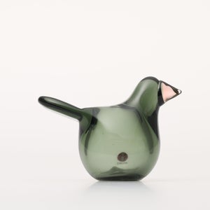 Birds Sieppo パイングリーン×サーモンピンク 0200