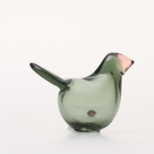 Birds Sieppo パイングリーン×サーモンピンク 0201