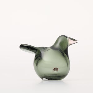 Birds Sieppo パイングリーン×サーモンピンク 0202