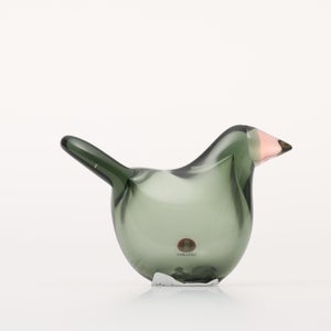 Birds Sieppo パイングリーン×サーモンピンク 0204