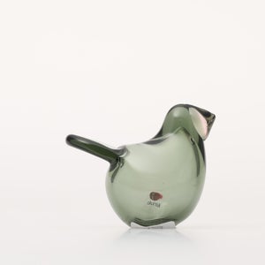 Birds Sieppo パイングリーン×サーモンピンク 0205