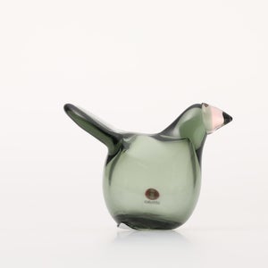 Birds Sieppo パイングリーン×サーモンピンク 0206