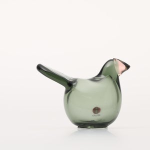 Birds Sieppo パイングリーン×サーモンピンク 0208