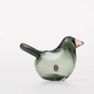 Birds Sieppo パイングリーン×サーモンピンク 0210