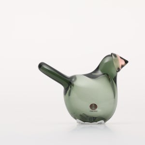 Birds Sieppo パイングリーン×サーモンピンク 0211