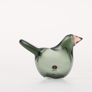 Birds Sieppo パイングリーン×サーモンピンク 0212