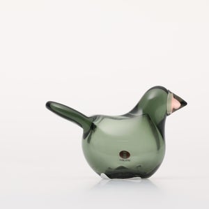 Birds Sieppo パイングリーン×サーモンピンク 0214