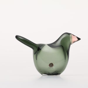 Birds Sieppo パイングリーン×サーモンピンク 0216