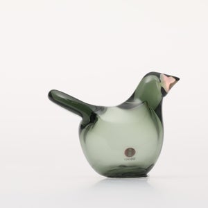 Birds Sieppo パイングリーン×サーモンピンク 0217