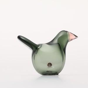 Birds Sieppo パイングリーン×サーモンピンク 0218