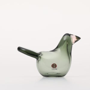 Birds Sieppo パイングリーン×サーモンピンク 0219