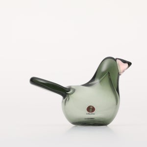 Birds Sieppo パイングリーン×サーモンピンク 0220