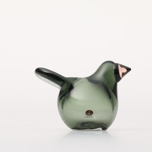 Birds Sieppo パイングリーン×サーモンピンク 0221