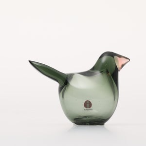 Birds Sieppo パイングリーン×サーモンピンク 0222