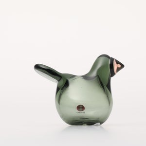 Birds Sieppo パイングリーン×サーモンピンク 0223