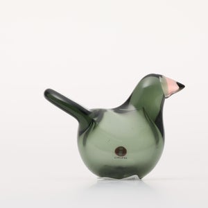 Birds Sieppo パイングリーン×サーモンピンク 0224