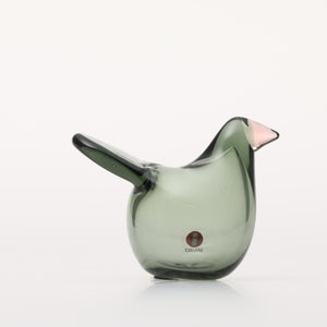 Birds Sieppo パイングリーン×サーモンピンク 0225