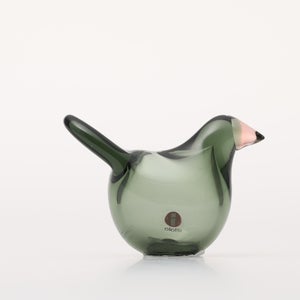 Birds Sieppo パイングリーン×サーモンピンク 0226