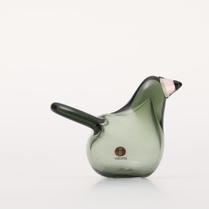 Birds Sieppo パイングリーン×サーモンピンク 0227