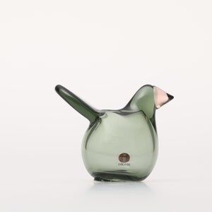 Birds Sieppo パイングリーン×サーモンピンク 0228